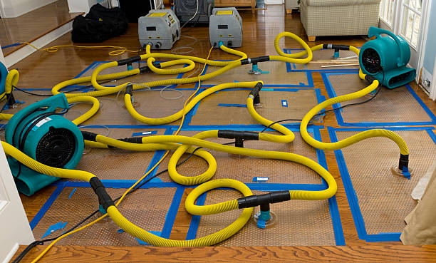 Professional Basement Flood Cleanup technician working in East Greenbush, NY